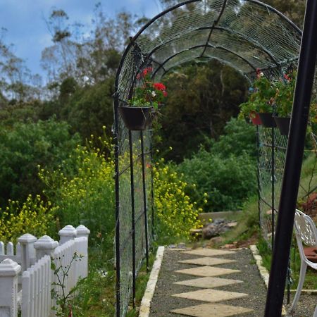 Newbury Villa Nuwara Eliya Luaran gambar